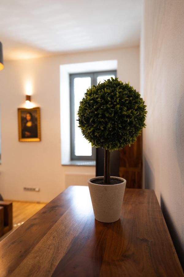 Black Field Apartment 布尔诺 外观 照片